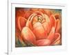 Red Lotus II-Patricia Pinto-Framed Art Print