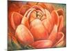 Red Lotus II-Patricia Pinto-Mounted Art Print