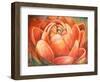 Red Lotus II-Patricia Pinto-Framed Art Print