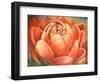 Red Lotus II-Patricia Pinto-Framed Art Print