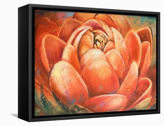 Red Lotus II-Patricia Pinto-Framed Stretched Canvas