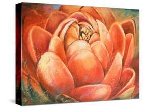 Red Lotus II-Patricia Pinto-Stretched Canvas