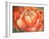 Red Lotus II-Patricia Pinto-Framed Art Print