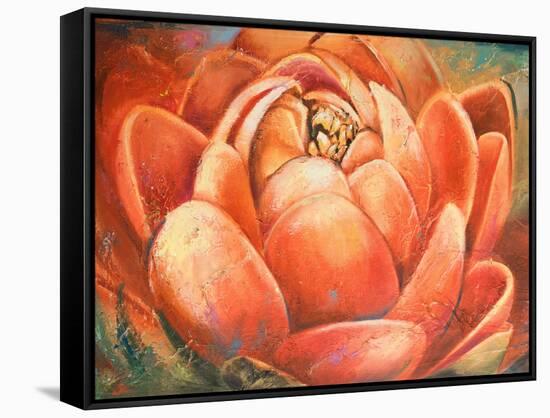 Red Lotus II-Patricia Pinto-Framed Stretched Canvas