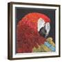 Red Macaw Parrot-Kirstie Adamson-Framed Giclee Print