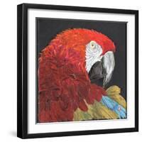 Red Macaw Parrot-Kirstie Adamson-Framed Giclee Print