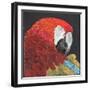 Red Macaw Parrot-Kirstie Adamson-Framed Giclee Print