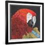 Red Macaw Parrot-Kirstie Adamson-Framed Giclee Print