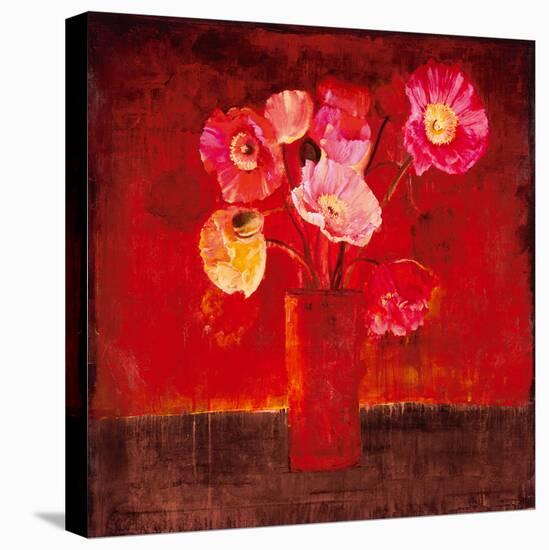 Red Magellan I-Douglas-Stretched Canvas