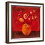 Red Magellan II-Douglas-Framed Giclee Print
