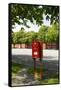 Red Mailbox, Copenhagen, Denmark, Scandinavia-Axel Schmies-Framed Stretched Canvas