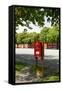 Red Mailbox, Copenhagen, Denmark, Scandinavia-Axel Schmies-Framed Stretched Canvas