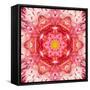 Red Mandala Concentric Flower Center Kaleidoscope-tr3gi-Framed Stretched Canvas