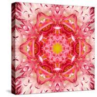 Red Mandala Concentric Flower Center Kaleidoscope-tr3gi-Stretched Canvas