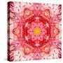 Red Mandala Concentric Flower Center Kaleidoscope-tr3gi-Stretched Canvas