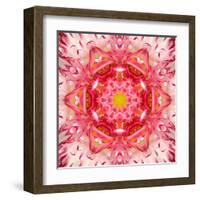 Red Mandala Concentric Flower Center Kaleidoscope-tr3gi-Framed Art Print