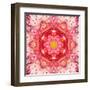 Red Mandala Concentric Flower Center Kaleidoscope-tr3gi-Framed Art Print