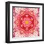 Red Mandala Concentric Flower Center Kaleidoscope-tr3gi-Framed Art Print