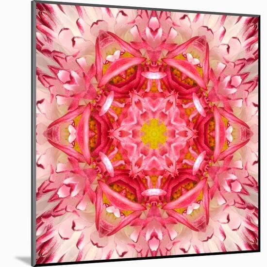 Red Mandala Concentric Flower Center Kaleidoscope-tr3gi-Mounted Art Print
