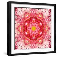 Red Mandala Concentric Flower Center Kaleidoscope-tr3gi-Framed Art Print