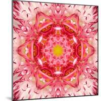 Red Mandala Concentric Flower Center Kaleidoscope-tr3gi-Mounted Art Print