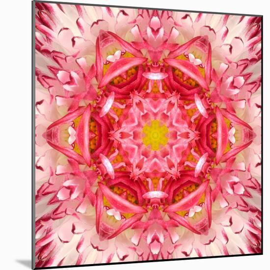 Red Mandala Concentric Flower Center Kaleidoscope-tr3gi-Mounted Art Print