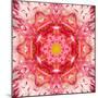 Red Mandala Concentric Flower Center Kaleidoscope-tr3gi-Mounted Art Print