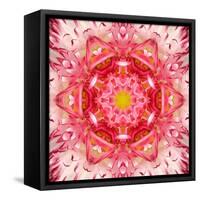 Red Mandala Concentric Flower Center Kaleidoscope-tr3gi-Framed Stretched Canvas