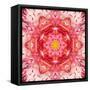 Red Mandala Concentric Flower Center Kaleidoscope-tr3gi-Framed Stretched Canvas