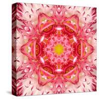 Red Mandala Concentric Flower Center Kaleidoscope-tr3gi-Stretched Canvas