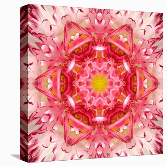 Red Mandala Concentric Flower Center Kaleidoscope-tr3gi-Stretched Canvas