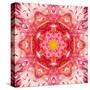 Red Mandala Concentric Flower Center Kaleidoscope-tr3gi-Stretched Canvas