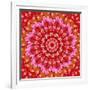 Red Mandala-AGCuesta-Framed Art Print