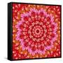 Red Mandala-AGCuesta-Framed Stretched Canvas