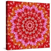 Red Mandala-AGCuesta-Stretched Canvas