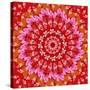 Red Mandala-AGCuesta-Stretched Canvas