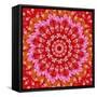 Red Mandala-AGCuesta-Framed Stretched Canvas