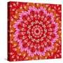 Red Mandala-AGCuesta-Stretched Canvas