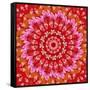 Red Mandala-AGCuesta-Framed Stretched Canvas