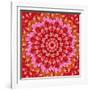 Red Mandala-AGCuesta-Framed Art Print