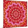 Red Mandala-AGCuesta-Mounted Art Print