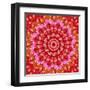 Red Mandala-AGCuesta-Framed Art Print