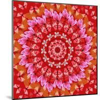 Red Mandala-AGCuesta-Mounted Art Print