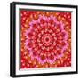 Red Mandala-AGCuesta-Framed Art Print