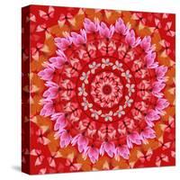 Red Mandala-AGCuesta-Stretched Canvas