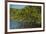 Red Mangrove (Rhizophora Mangle), Galapagos Islands, Ecuador-Pete Oxford-Framed Photographic Print