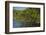 Red Mangrove (Rhizophora Mangle), Galapagos Islands, Ecuador-Pete Oxford-Framed Photographic Print