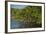 Red Mangrove (Rhizophora Mangle), Galapagos Islands, Ecuador-Pete Oxford-Framed Photographic Print