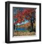 Red Maple In Autumn-null-Framed Art Print