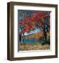 Red Maple In Autumn-null-Framed Art Print